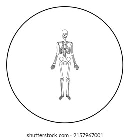 Skeleton human icon in circle round black color vector illustration image outline contour line thin style simple