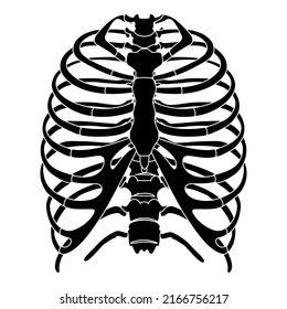 Skeleton Human Rib cage silhouette body bones - sternum, chest, thoracic vertebra, sternum, front Anterior view flat black color concept Vector illustration of anatomy isolated on white background