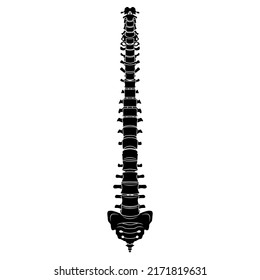Skeleton Human Vertebral column silhouette spine body bones - sacrum, vertebrae, coccyx front Anterior ventral view flat black color concept Vector illustration of anatomy isolated on white background