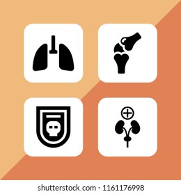 skeleton icon. 4 skeleton set with lung, human body, bones and skull vector icons for web and mobile app