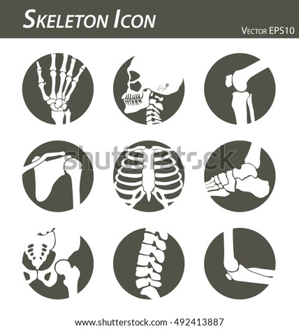 Skeleton icon (hand, finger , wrist , head , neck , thigh , knee , leg , shoulder , arm , forearm , thorax , ankle , foot , pelvis , hip , backbone ( vertebrae ) , elbow) black and white , flat design