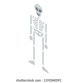 Skeleton icon. Isometric of skeleton vector icon for web design isolated on white background