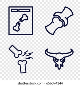Skeleton icons set. set of 4 skeleton outline icons such as bull skull, bone, x ray