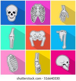 Skeleton icons set. Types of human bones on bright background. White bones, skull, breastbone, pelvis, fingers, radius bone. Anatomy skeleton. Bone structure. Flat design. Vector illustration