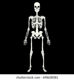 Skeleton Isolated On Black Stock Vector (Royalty Free) 698638381 ...