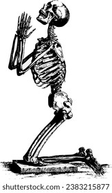 Skeleton kneeling black and white