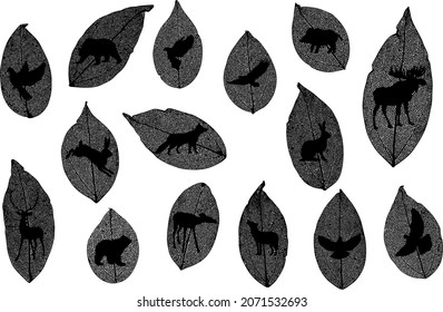 Skeleton leaves with animals silhouettes. Basis black elements on white background