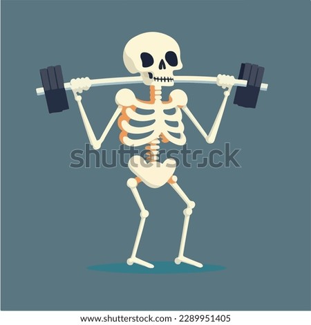 skeleton lifting weights vector illustration