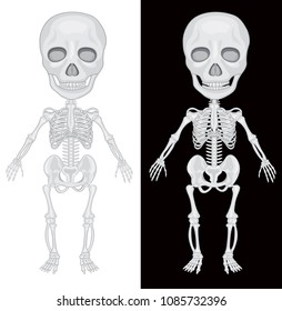 Skeleton on Black and White Background illustration