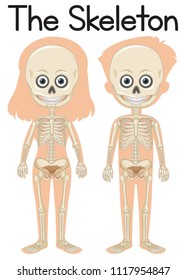 The skeleton on boy and girl illustration