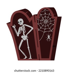 Skeleton in opened wooden coffin with spider and web Halloween vector illustration isolated on white. 