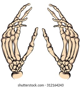 Skeleton palms on white background.