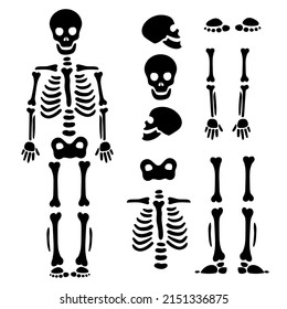 Skeleton parts bones kit EPS