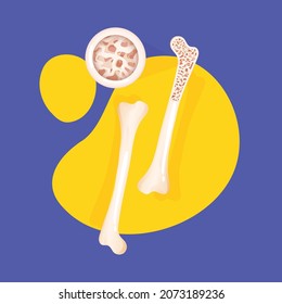 esqueleto de una persona y huesos individuales. Se interpreta como ilustración artística en un estilo médico científico.