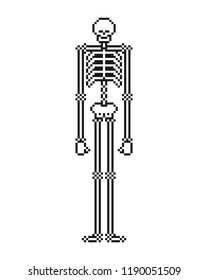 Skeleton pixel art. Skull and bone 8 bit. Vector illustration.
