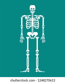 Skeleton pixel art. Skull and Bones anatomy 8 bit. Pixelate Pelvic bone and ribs. Spine and vertebrae. Human bone system 16bit. Old game computer graphics style