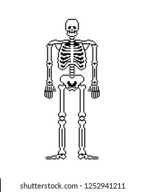 Skeleton pixel art. Skull and Bones anatomy 8 bit. Pixelate Pelvic bone and ribs. Spine and vertebrae. Human bone system 16bit. Old game computer graphics style