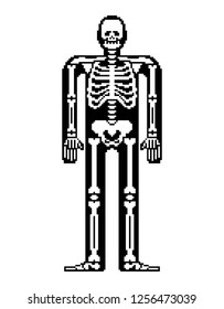 Skeleton pixel art. Skull and Bones anatomy 8 bit. Pixelate Pelvic bone and ribs. Spine and vertebrae. Human bone system 16bit. Old game computer graphics style