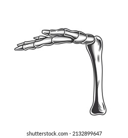 skeleton please hand line art vintage tattoo or print design vector illustratio.