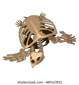 The skeleton of a prehistoric turtle isolated on white background. Vector illustration.
