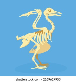 skeleton primitive ancient extinct bird