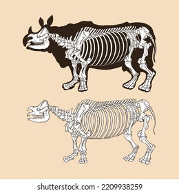 Skeleton rhino vector illustration animal