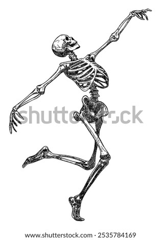skeleton running isolated on white background hand drawn sketch movement and grace dynamic dancing pose halloween card design element line art detailed vector illustration