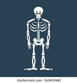 Skeleton sad Emoji. Skull  emotion sadness. Human bones
