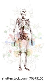 Skeleton sketch & floral calligraphy ornament - a stylized orchid & color paint background