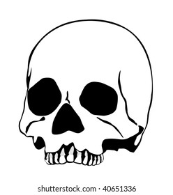 Skeleton Skull Stock Vector (Royalty Free) 40651336 | Shutterstock