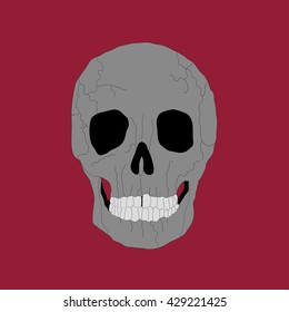 skeleton, skull illustration vector image