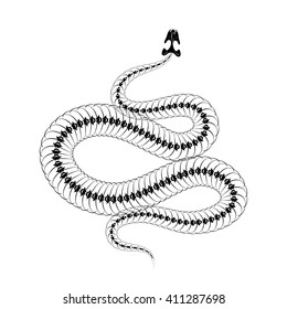 Skeleton Snake Isolated On White Background: เวกเตอร์สต็อก (ปลอดค่า