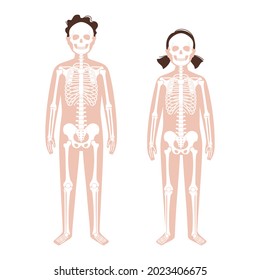 Skeleton system, children bones concept. X ray with boy and girl silhouette. Skull, arms, legs, knee and foot. Kid body exam. Ribs, hands and joints. Flat vector illustration. Poster for medical use.