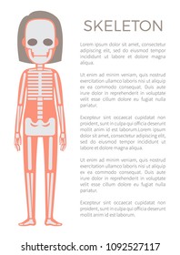 Skeleton that forms supportive structure of human organism, poster woman body and text sample with headline, vector illustration isolated on white