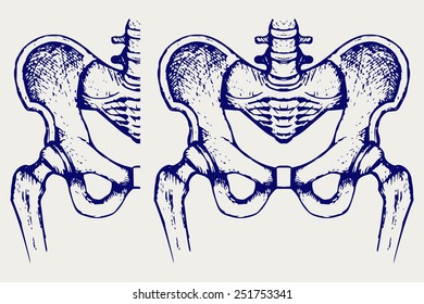 Skeleton thigh. Doodle style