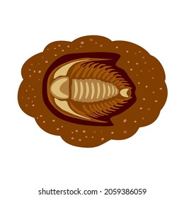 Skeleton of a trilobite. Fossilized bones of a trilobite in excavations in the ground. Archaeological expedition, research, discovery, scientific discovery. Icon, clipart for website about archeology.