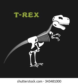 Skeleton tyrannosaurus Rex. Bones and skull of  dinosaur. Dead t-Rex. Ancient animal bones from Jurassic period.
