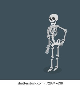 skeleton Vector flat