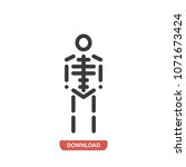 Skeleton vector icon 