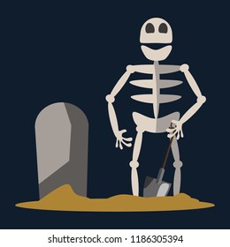 skeleton vector illustration 
