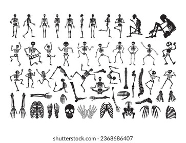 Skeleton Vector For Print, Skeleton Clipart, Skeleton vector Illustration
