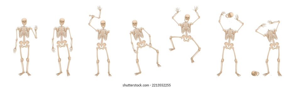 Skeleton - walking, jumping, greeting, scaring, waving, greeting, juggling with the head and being headless – set of creepy, spooky, frightening and funny poses. Vector on white background.
