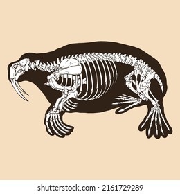 Skeleton walrus vector illustration animal