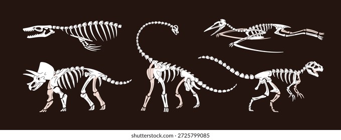 Conjunto de esqueletos de antiguos dinosaurios. Huesos y cráneos de animales extintos de la era Jurásica. Restos y fósiles de brachiosaurus, Trex, y pterodactyl. Paleontología. Ilustración vectorial aislada plana
