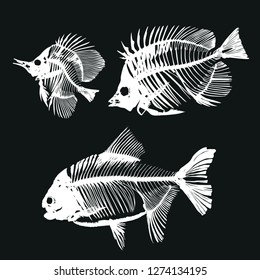 Skeletons of fishes. Three fishbones on dark background - vector illustration