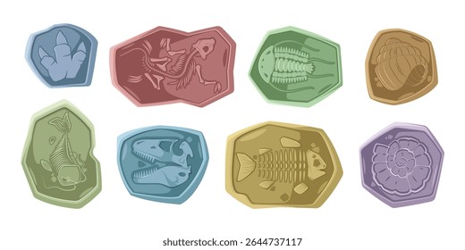 Skeletons of Jurassic dinosaurs and sea creatures, different types of bones in rocks. Vector extinct animal species. Aquatic beasts, prehistoric reptiles with fins. Fish and snails shells