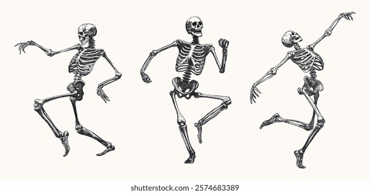 skeletons set isolated dance walking movements various dynamic pose hand drawn sketch card retro black white design element line art detailed vector illustration