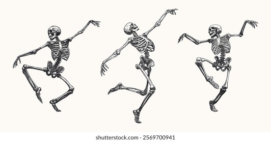 skeletons set isolated in various dynamic poses movement hand drawn sketch card design element line art detailed vector illustration dancing walking black white retro style characters