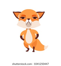 Skeptical fox character standing with paws in its waist, funny forest animal vector Illustration on a white background