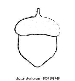 sketch of acorn icon over white background vector illustration